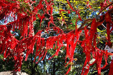 《双重宇宙》8月27日停服 官方考虑开源支持停杀游